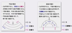 矢印説