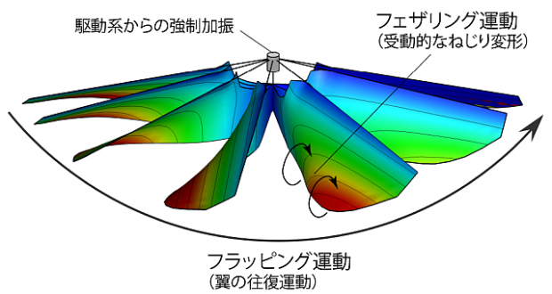 04_wing_sequence