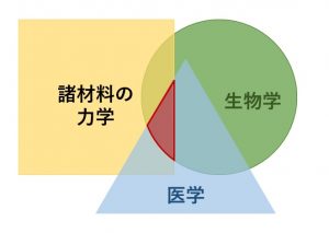 生物材料力学・生体工学